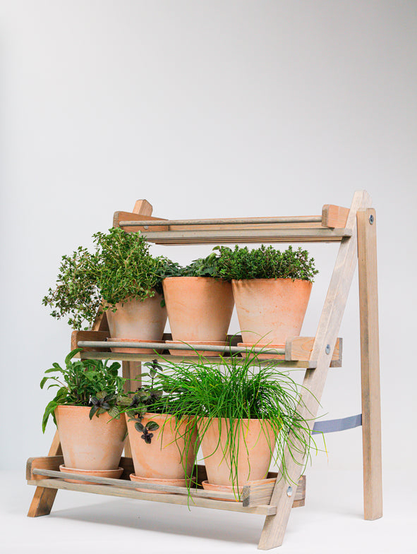 Herb Kitchen - Medium